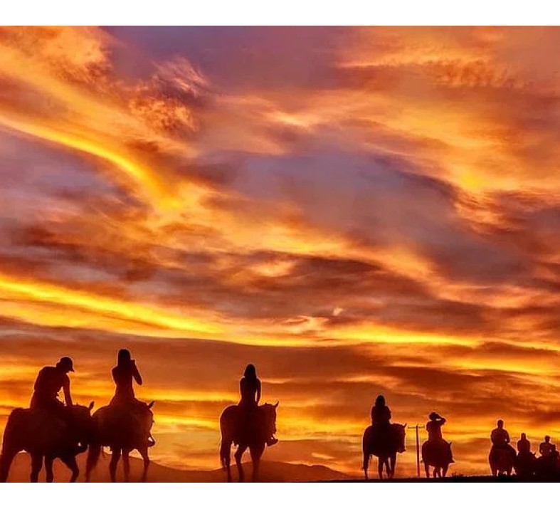 The Wild Wild West Sunset Dinner Ride | Las Vegas